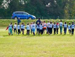 Cross Country Schulmeisterschaft